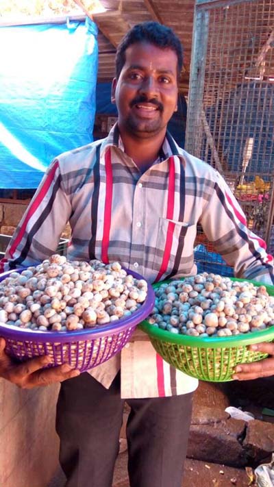 ಇರ್ವತ್ತೂರಿನ ಕಾಂತು ಕುಲಾಲ್ ಮತ್ತು `ಕಲ್ಲಲಾಂಬು’!
