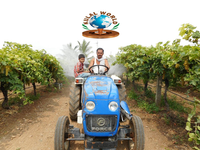 ಒಂದೂವರೆ ದಶಕದ ಯಶೋಗಾಥೆ; ಕಲ್ಲು ಮರಡಿ ನೆಲದಲ್ಲಿ ದ್ರಾಕ್ಷಿಯರಳಿಸಿದ ಕುಂಬಾರ..!